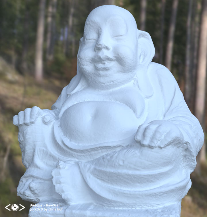 buddha retopo-raw